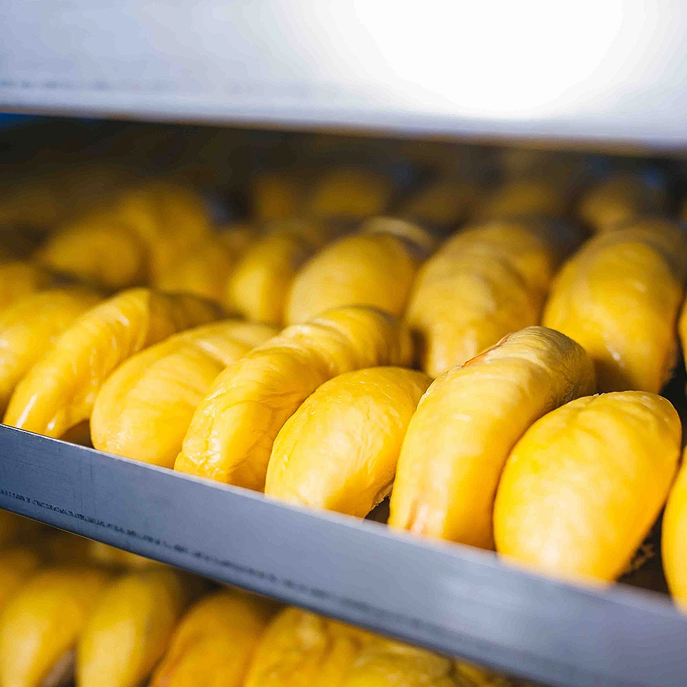 
Malaysia 100% Fresh Musang King Durian Pulp 