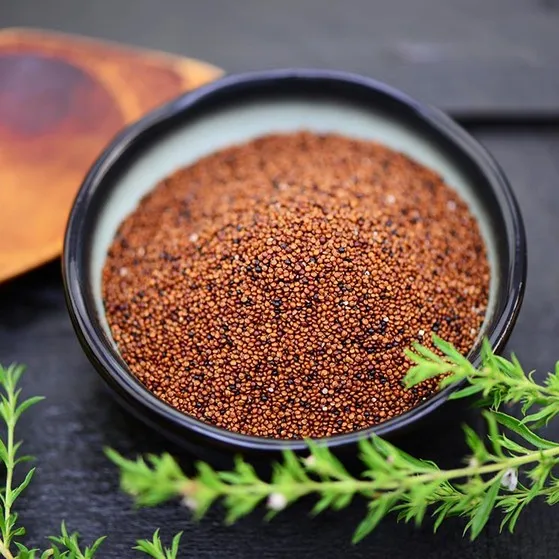 Kaniwa Grains, Canuhua seeds in bulk and premium quality Peru