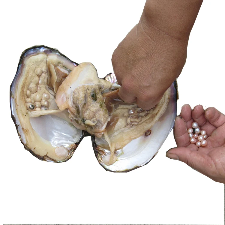 Formalin Processed Vacuum Package Freshwater Pearl Oyster