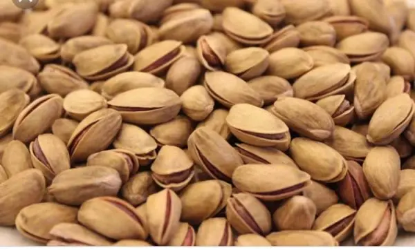 
ECONOMIC PISTACHIO NUTS PISTACHIO KERNEL 120 125 PCS 