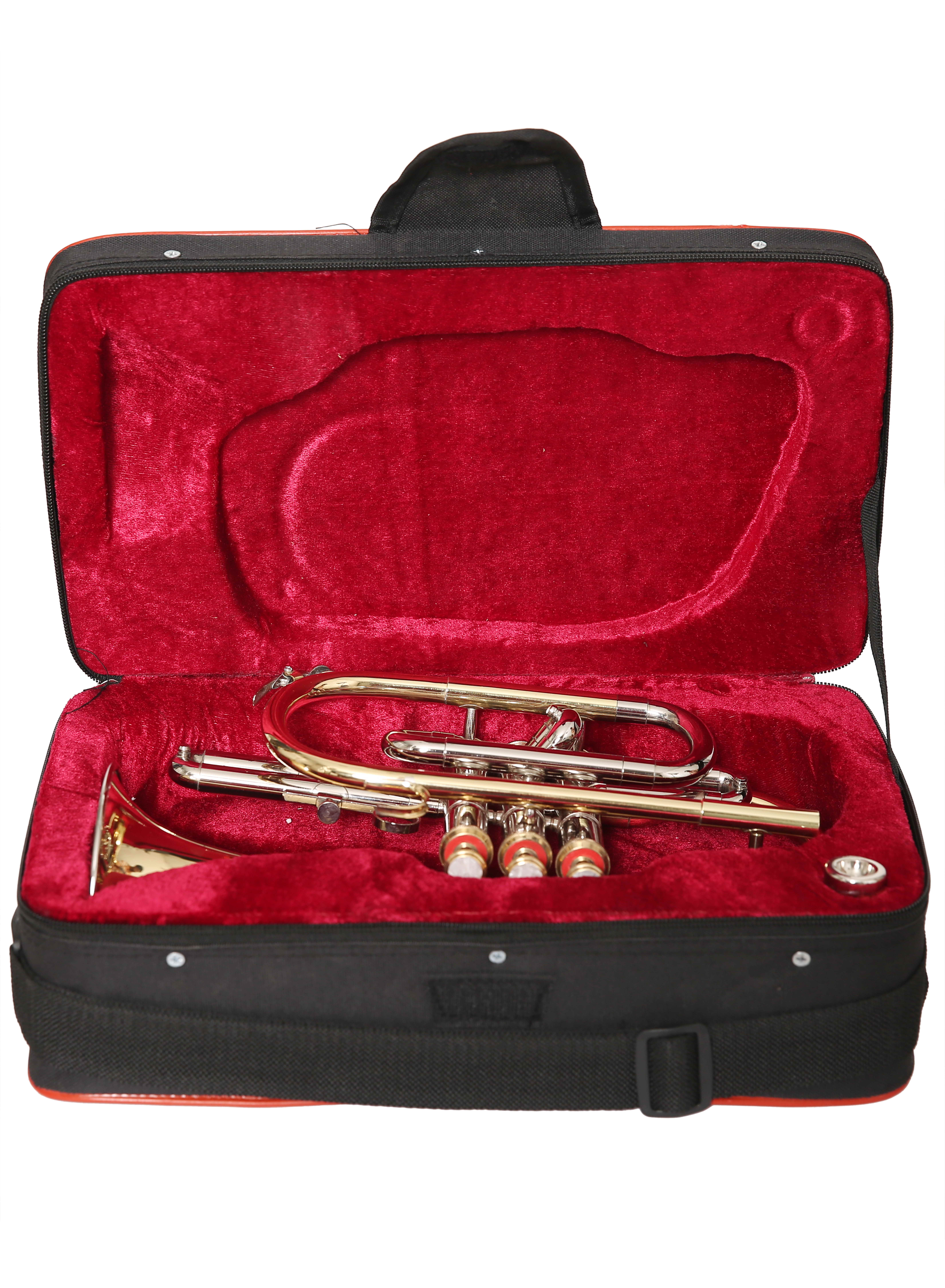 NASIR ALI NEW PROFESSIONAL BB PITCH  3 VALVE BRASS NICKEL  CORNET WITH INCLUDE HARDCASE AND MOUTHPIECE