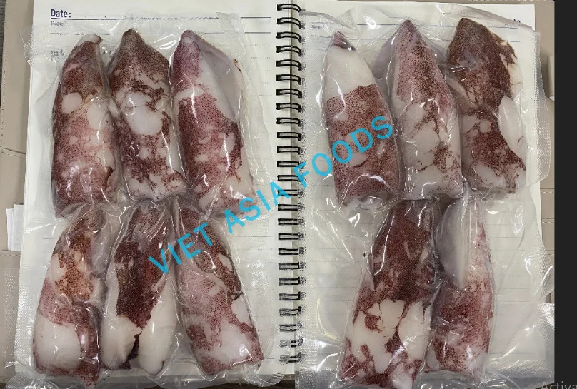 SQUID NEW PRODUCT HIGH QUALITY SQUID WHOLE RAW 6-8CM FROM VIETNAM