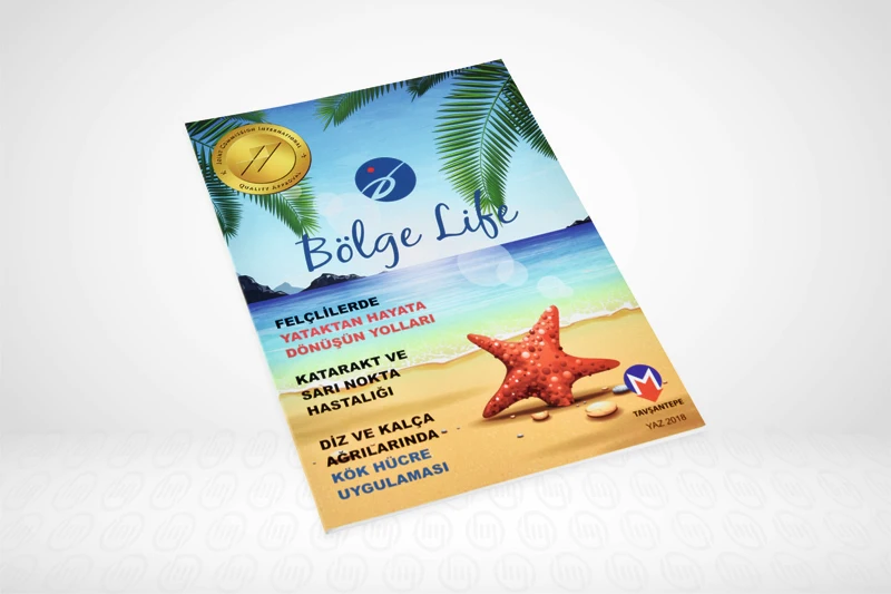 Журнал: буклет с индивидуальной печатью каталог флаеры брошюры журнал CMYK