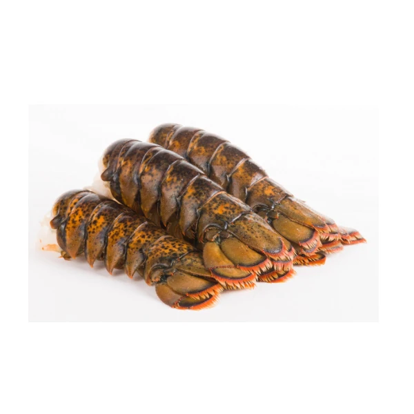 Wholesale Price of Natural Frozen Lobster Live Lobster and Frozen Lobster Tail