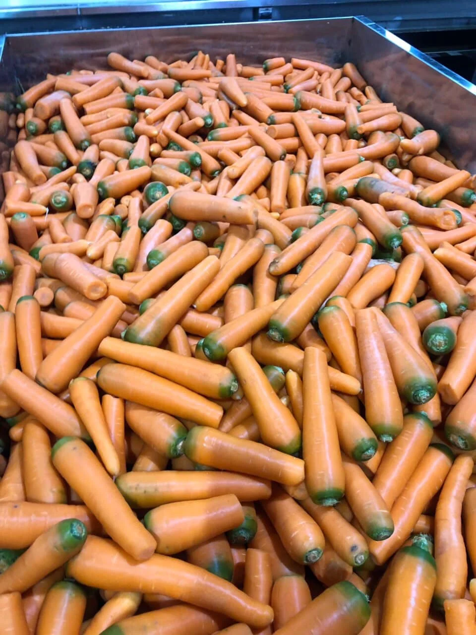 Fresh Carrots -  Customized Package Non-GMO Fresh Carrots Whatsapp +84988667319