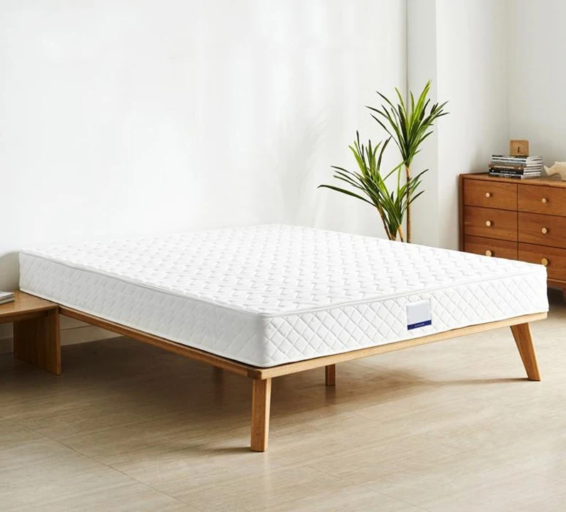 Modern Japanese Style Bedroom High Quality Sleep 5 cm Coconut Palm Queen Size Mattress