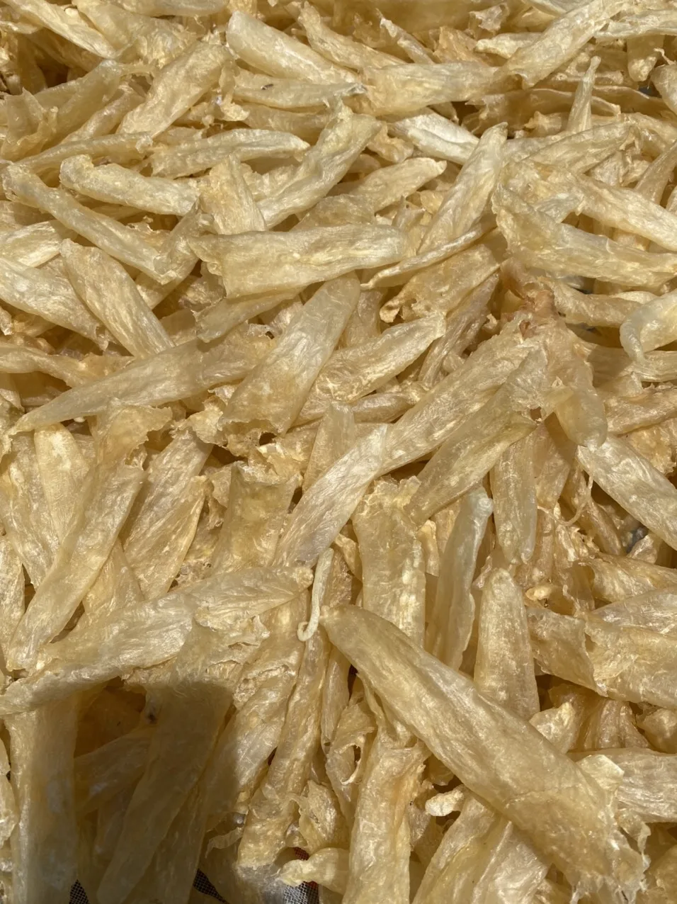NATURAL DRIED FISH MAW FROM PANGASIUS FISH  WHOLESALE
