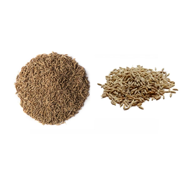 Wholesale Organic Dried Black Cumin Seeds Supplier