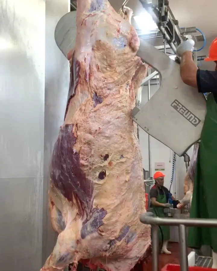 
Great taste Halal Beef Premium from Kazakhland 