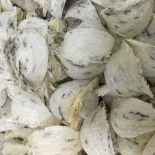 (Mr Nam Bu) - Vietnam Supplier Natural Dry Bird Nest High Quality Best Price - Bird Nest Help Increase Youthfulness, Beauty