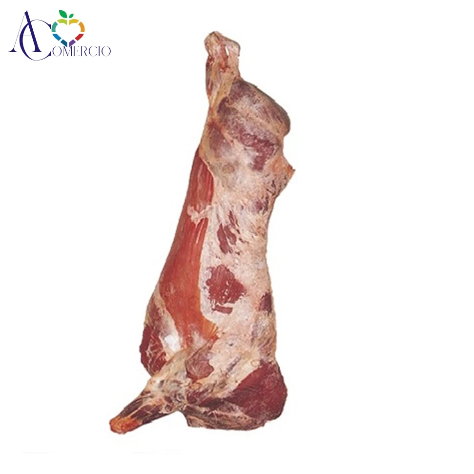 
Frozen Beef Body Carcass Split into 8 Pieces from Argentina 