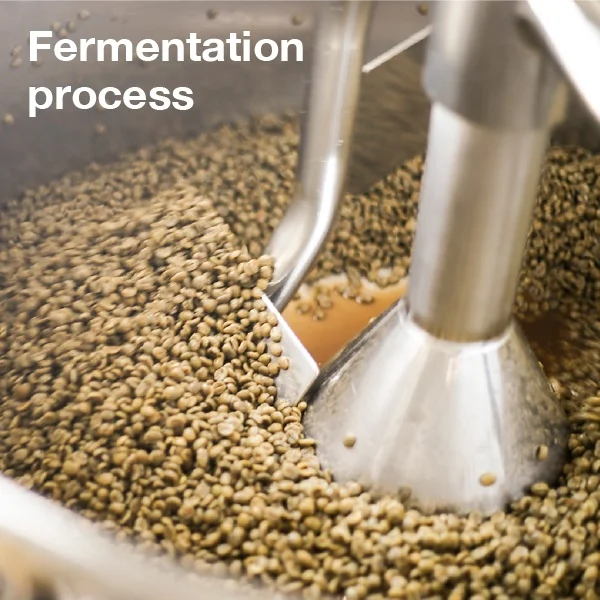 Бесплатные жареные пакеты для кофе samlple упаковка безалкогольных напитков ферментированные японские oem товары частной марки горничная в Японии