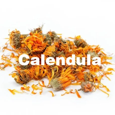 Calendulah.jpg