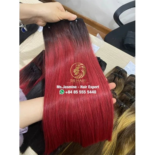 Крупнейшая фабрика оптовая цена прямые человеческие волосы из Вьетнама долговечные натуральные необработанные индийские вьетнамские парики