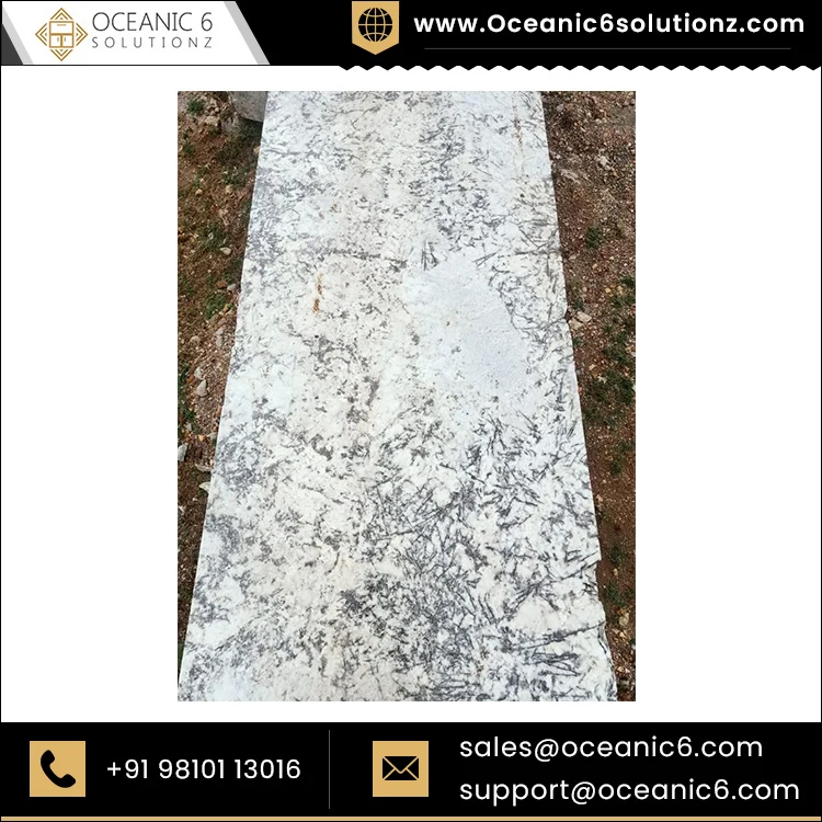 Лидер продаж лучший дизайн Аляска белый гранит оптовый поставщик