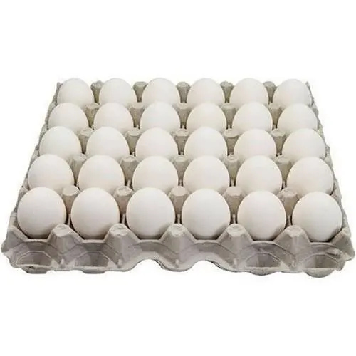 High Quality Wholesale Fertile Hatching Chicken Egg/