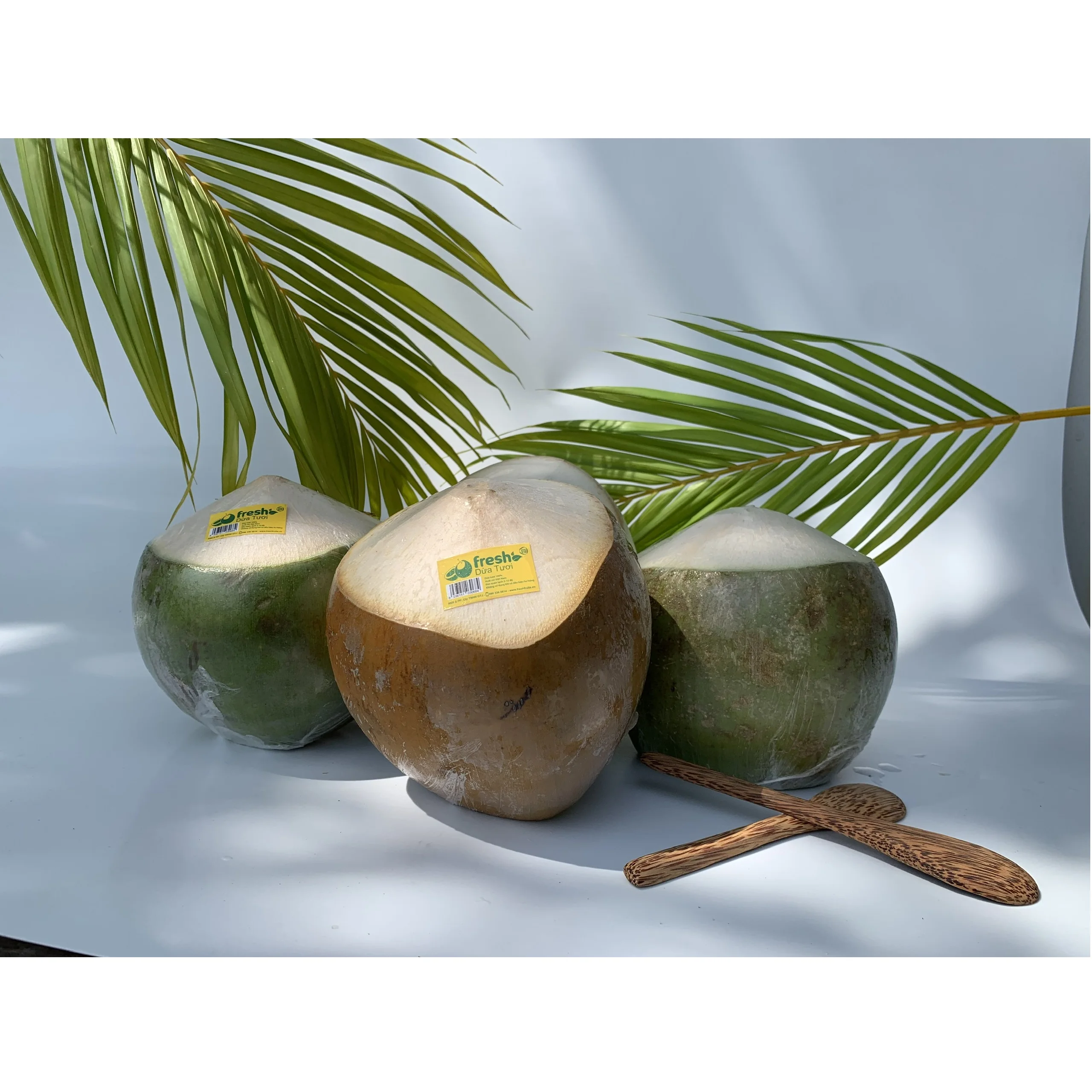 Semi-Husked Young Coconut Green or red Colours Hat Cut Shape Fresh Organic Coconut from Vietnam