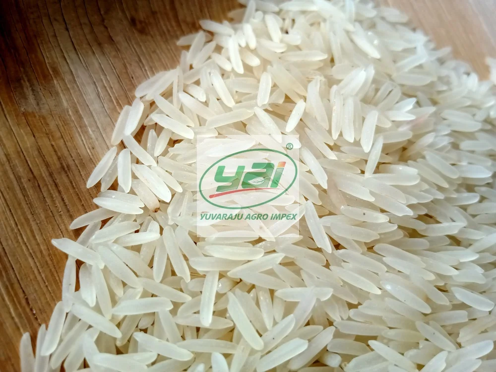 pusa sella white.jpg