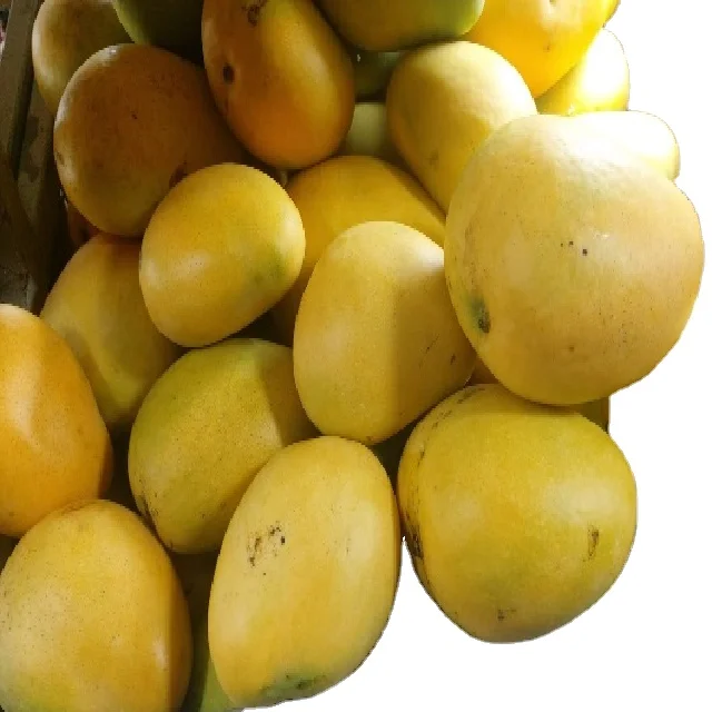 Манго Banganapalli