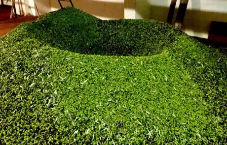 Premium Extra Virgin Olive Oil 100% Italian Cold Pressed 3 Lt. Can Fruity for private and restaurant