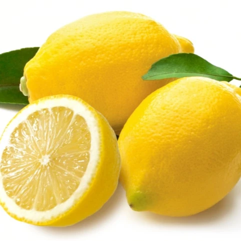 Lemon vegetables citrus fruit organic lemon whole sale price fresh lemon