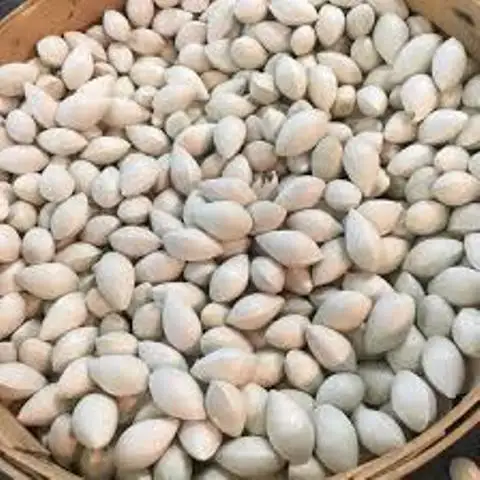 
Fresh raw material nuts Ginkgo Seeds for planting 