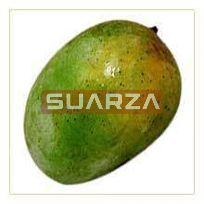 Fresh Fruit Badami mango at suitable market price are exported to worldwide/King of fruit  fresh mango supplier