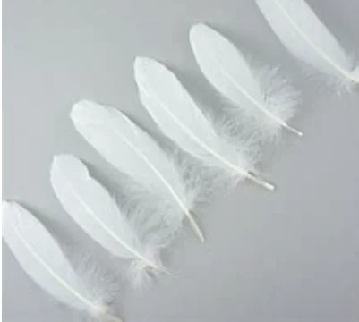 Natural High Filling Power Down White Goose Feathers Down For Sale