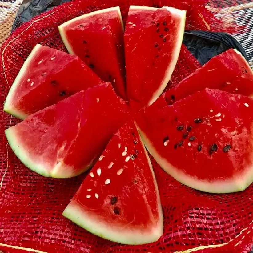 
Fresh Watermelon 