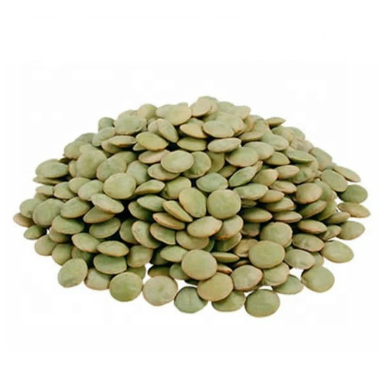 wholesale high quality green lentils