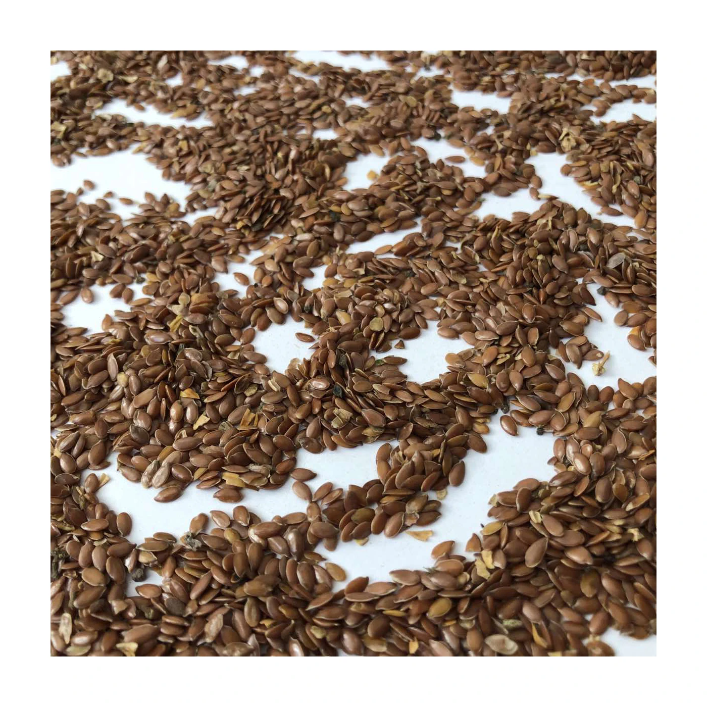 
Quality organic flax seeds in bulk, product of Russia 