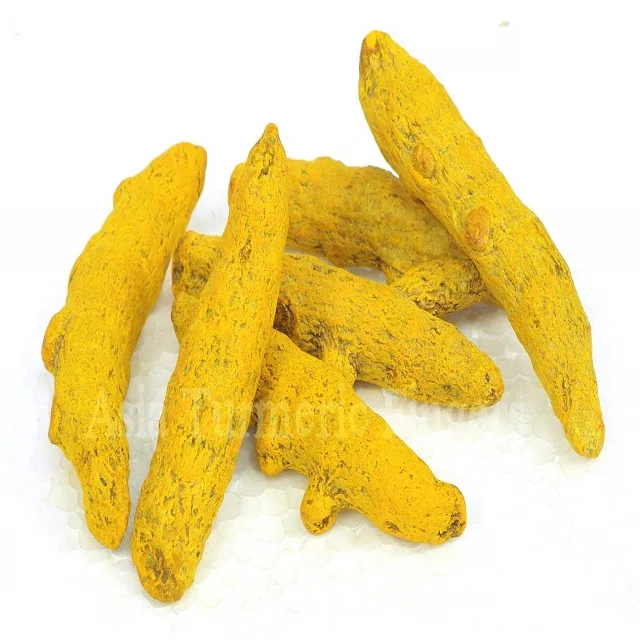 Dried Turmeric Finger Show Me The Spices!