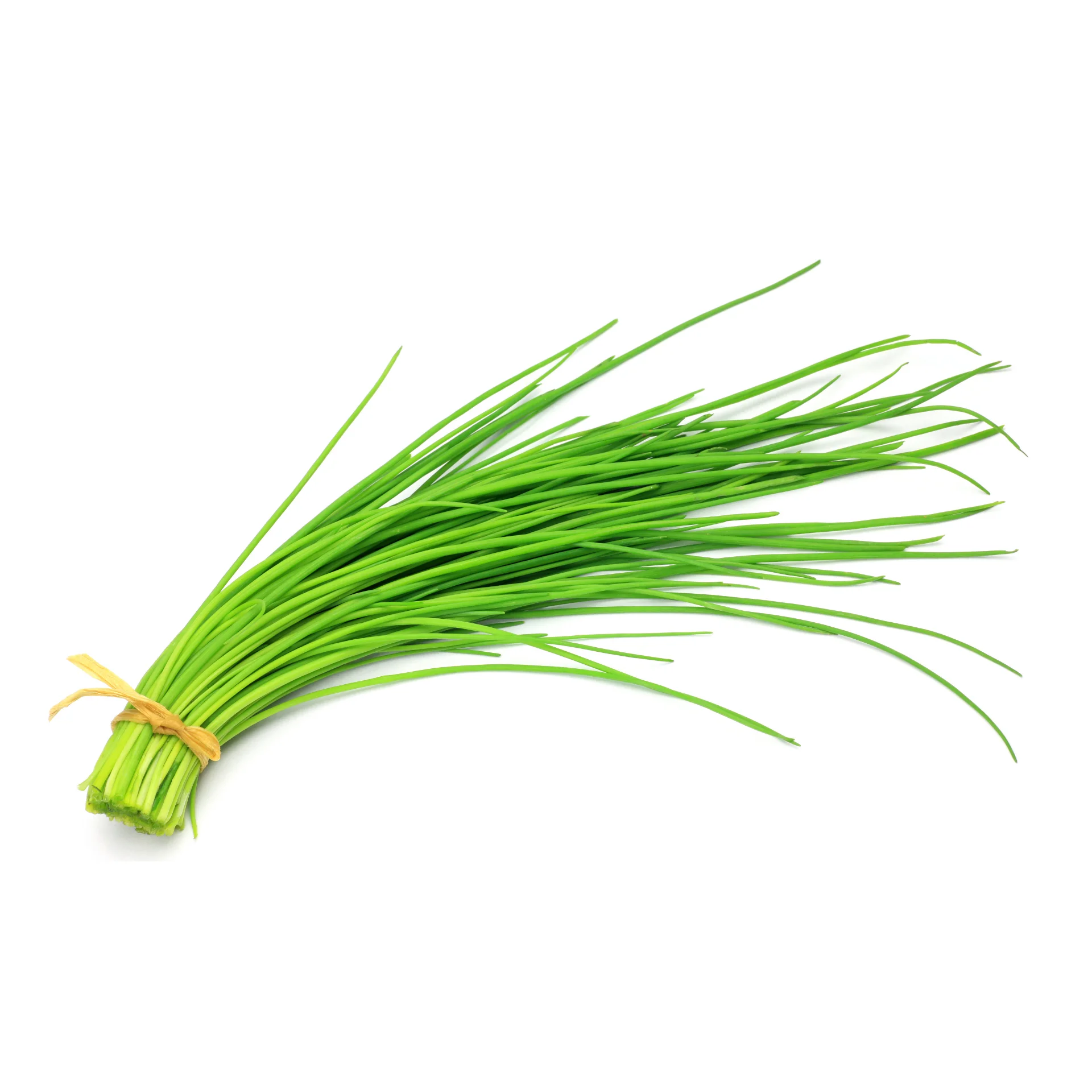 Chives- High quality