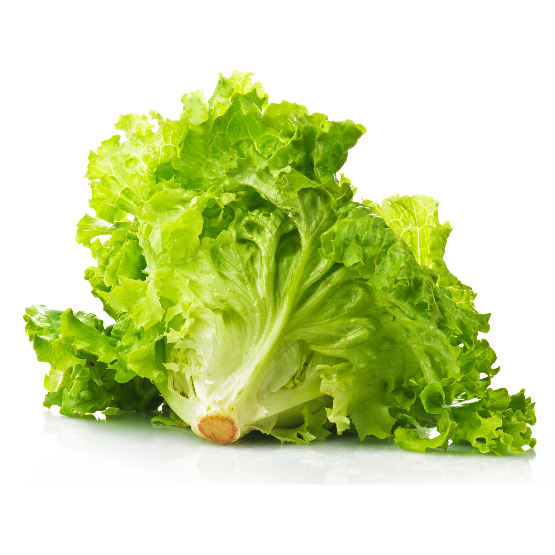 Салат-высокое качество