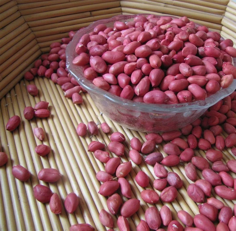 
New crop red skin peanuts kernel 