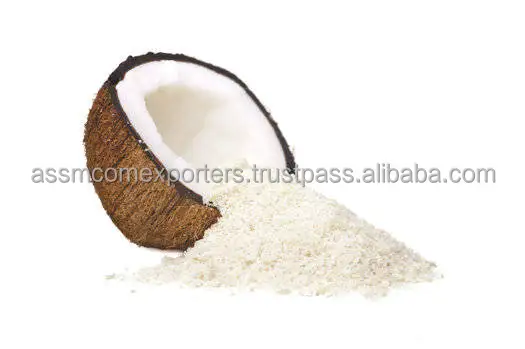 COCONUT 3.jpg