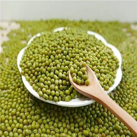 Green Mung Beans 3.25mm up Myanmar Origin at cheap rate