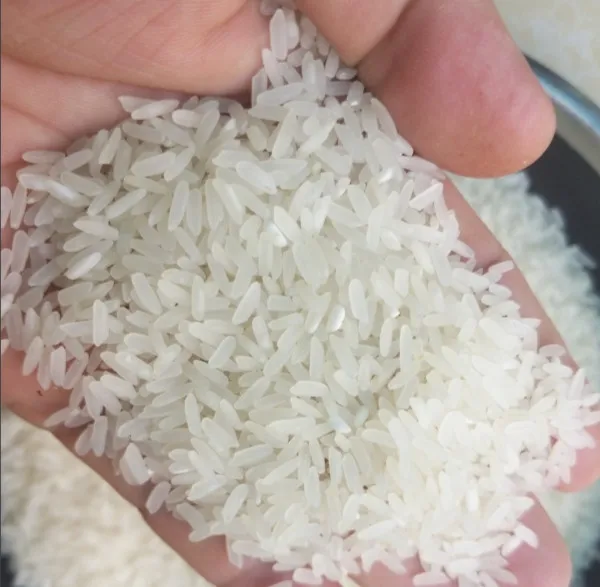 Ароматизированный рис с длинным зерном изготовленный в Вьетнаме сушеный стиль высокое качество хит продаж 2021 году