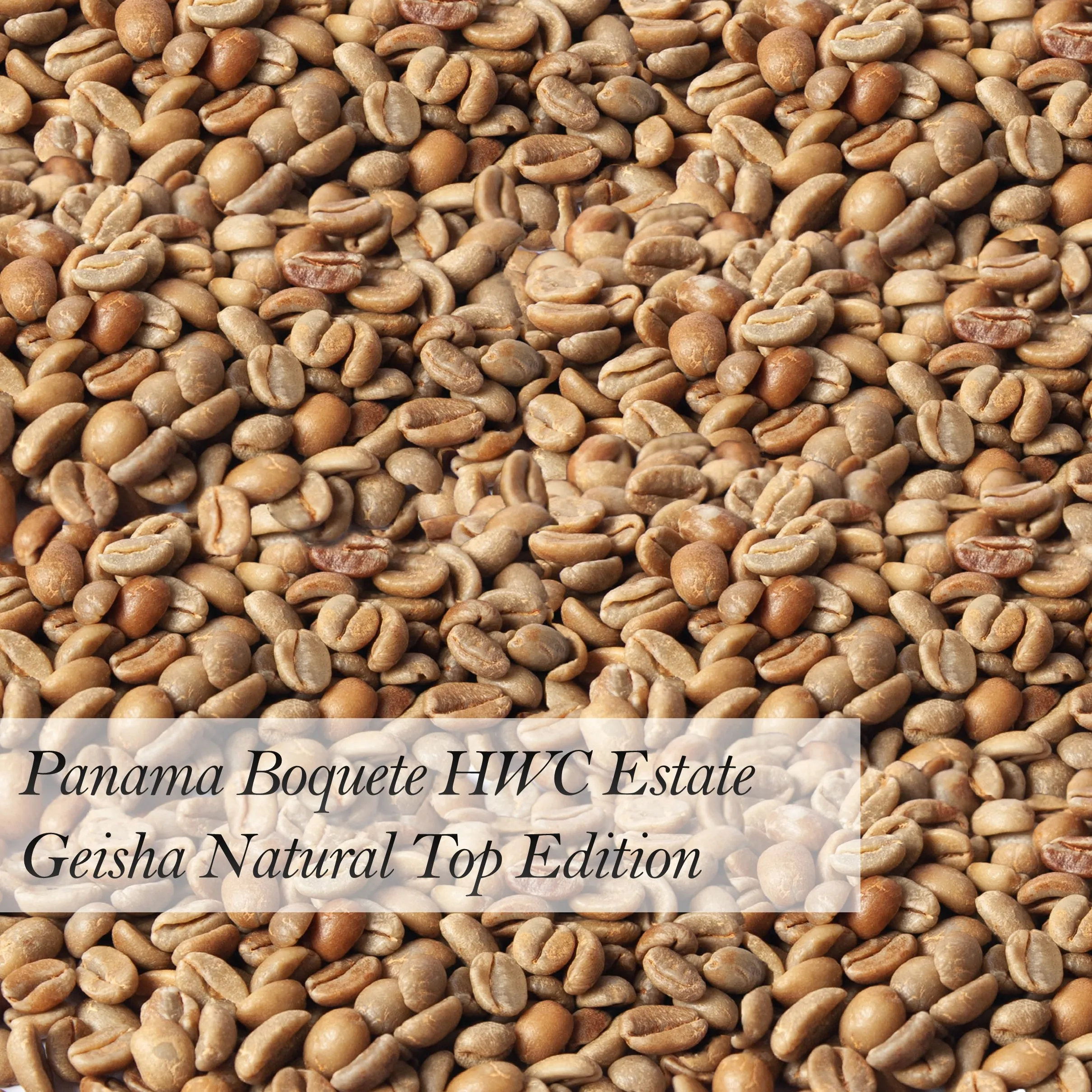 
Panama Boquete HWC Estate Geisha Natural Top Edition Arabica Green Coffee Beans High Quality Raw Coffee Beans 