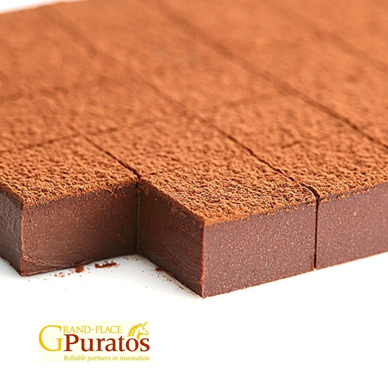 Wholesale Premium Quality Chocolate Cocoa Powder Alkalized Fat from Puratos Grand-Place Vietnam
