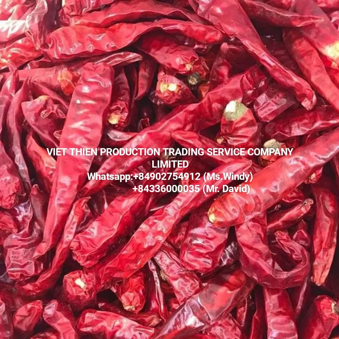Dried red chili with wholesale price and meet standard export and available in stock in Binh Dinh Vietnam used as spices
