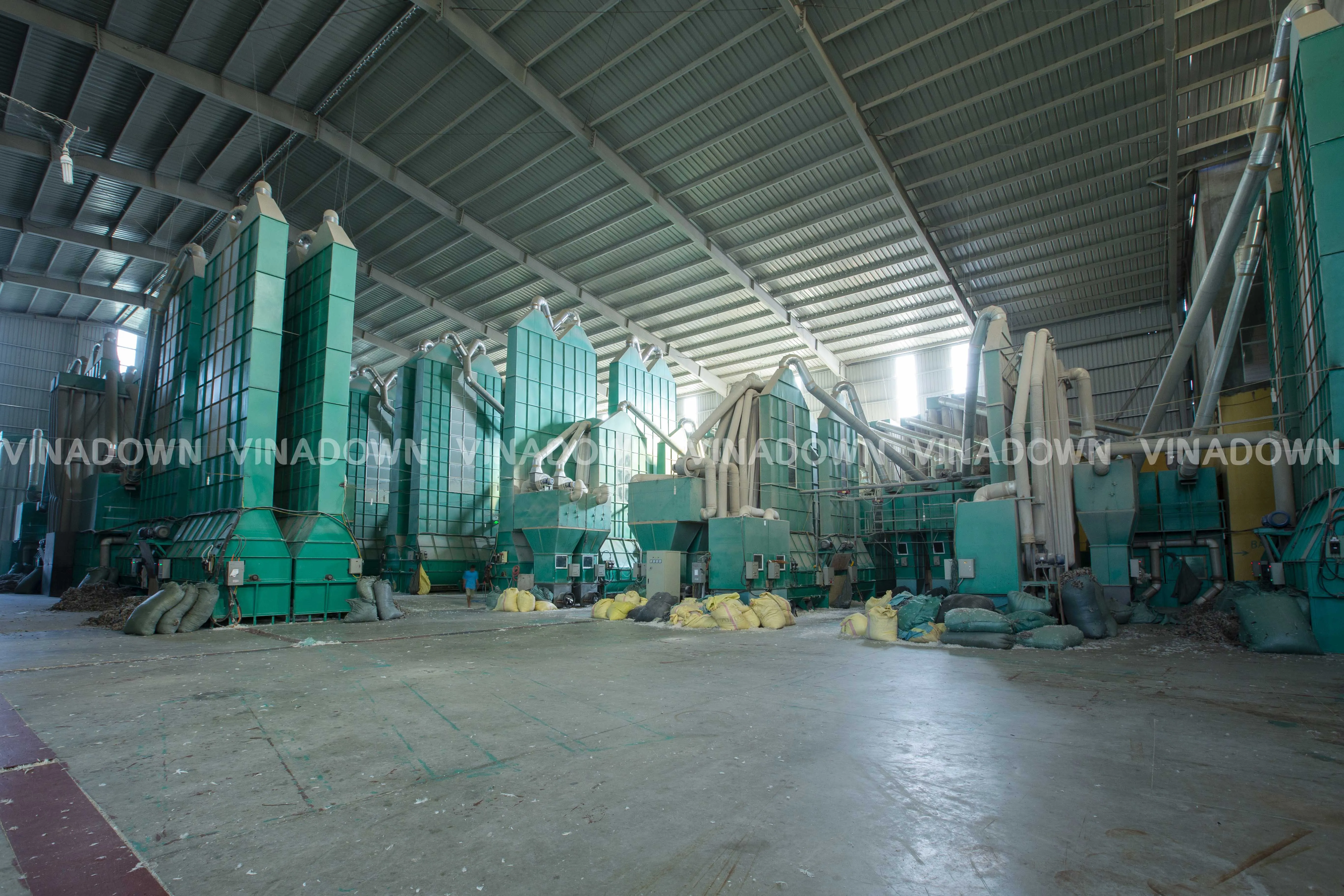 
Washed White Duck Down 90/10, Fill Power 700 From Vietnam 