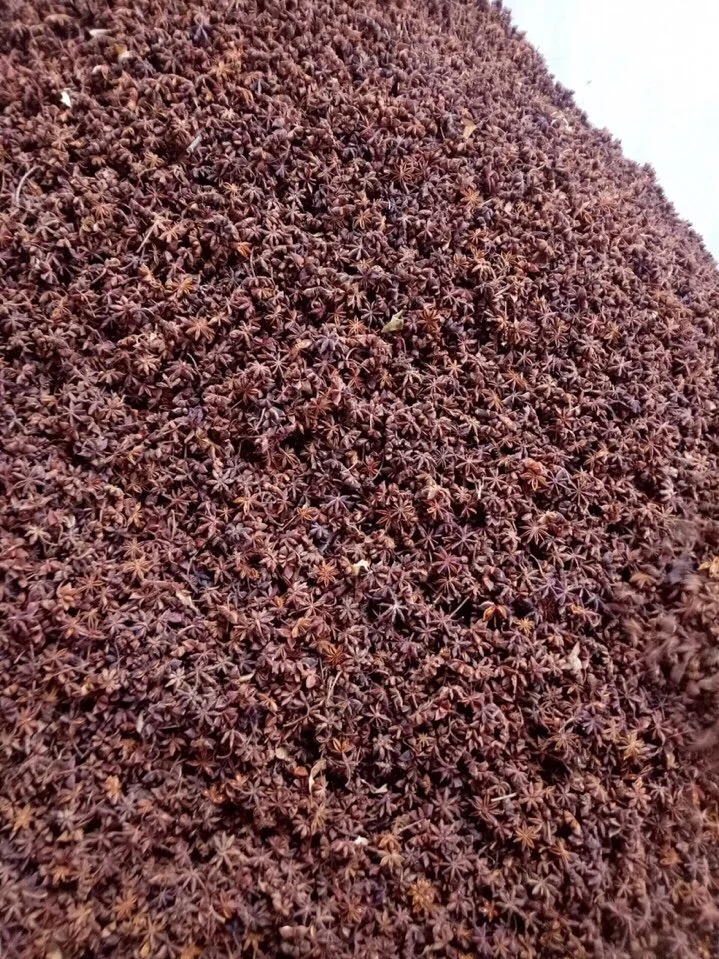 Quality trusted by many people using Star Anise China Spices and Herbs