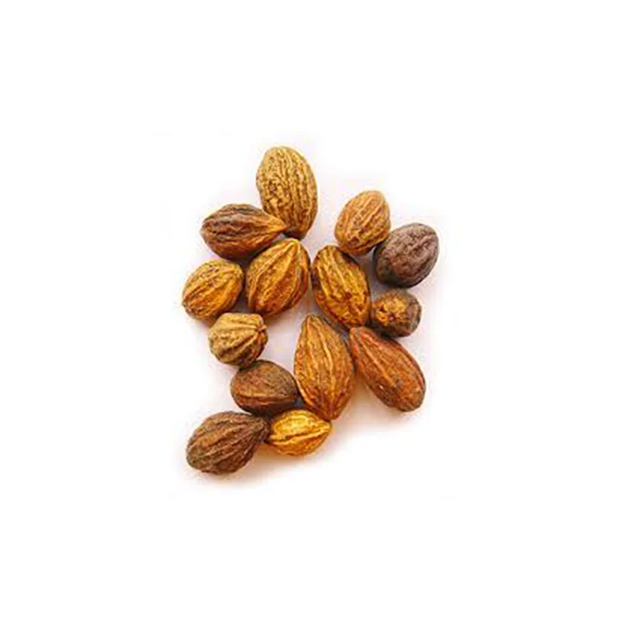 Fresh Season Top Quality Haritaki Natural Harad Seed Powder Wholesale Bulk Supplier At Minimal Price