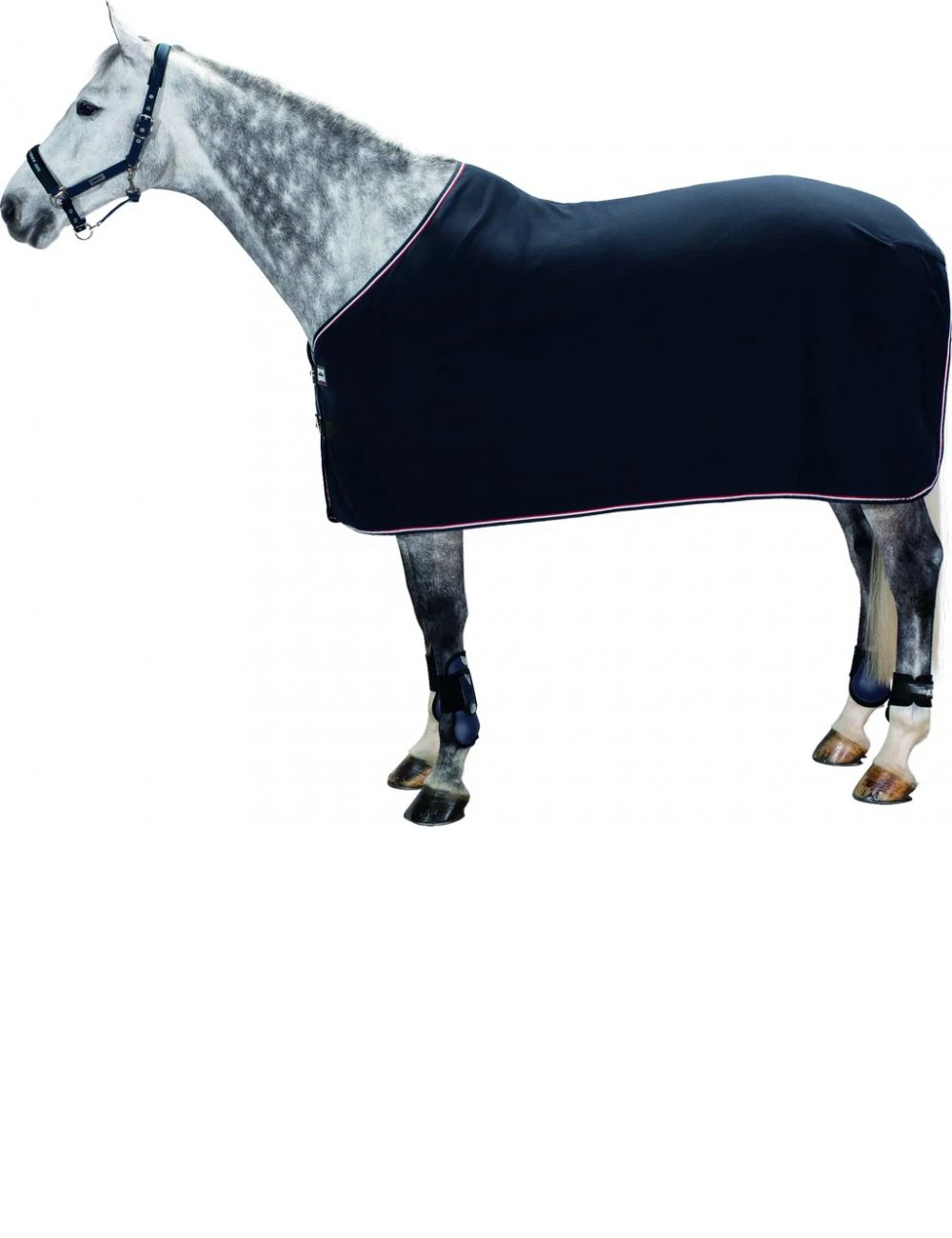 Quilted Heavy Weight Nylon Polyester Warm Winter Horse Rug Magenta Windproof Waterproof Stable by Canleo International