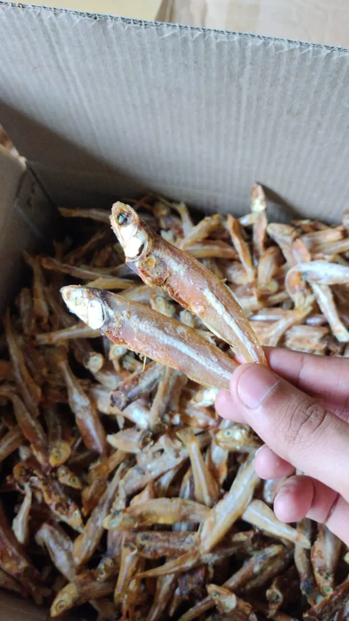 Wholesale Dried Anchovy Fish in Vietnam 2021