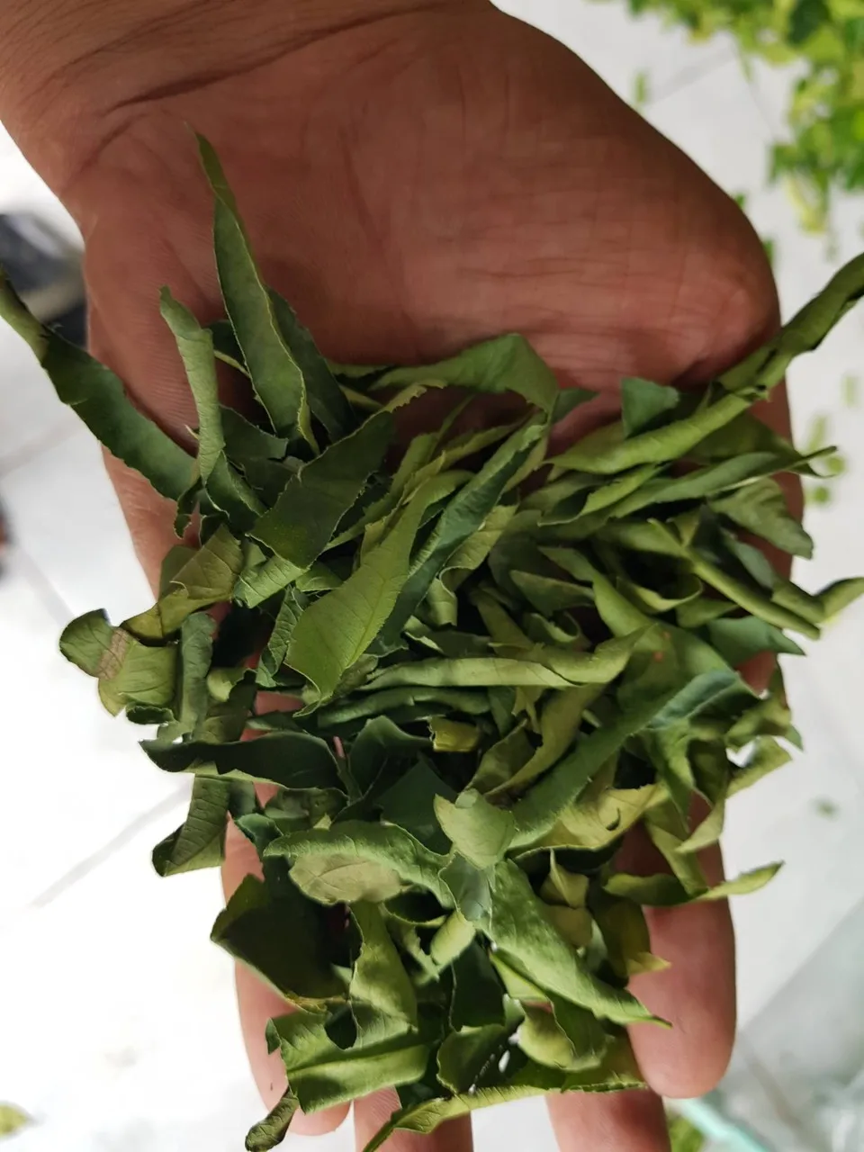 Dried Lemon Leaves/ Slices Dried Lemon leaves/ Dried Lime Leaves Dehydrated Lemon leaf for Tea ORigin Vietnam