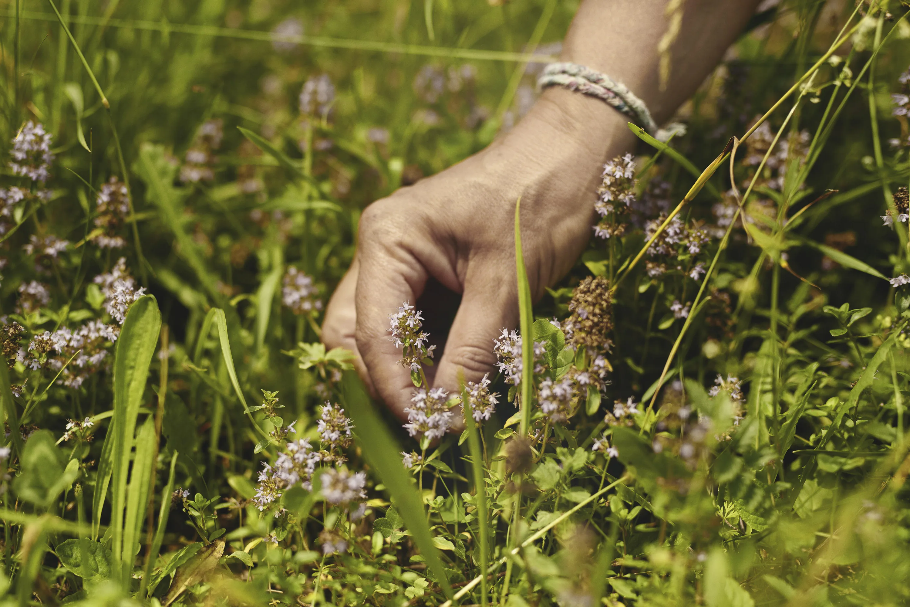 Top quality made in Italy RIVO Gin case (6 bottles) from Lake Como for cocktail Bars