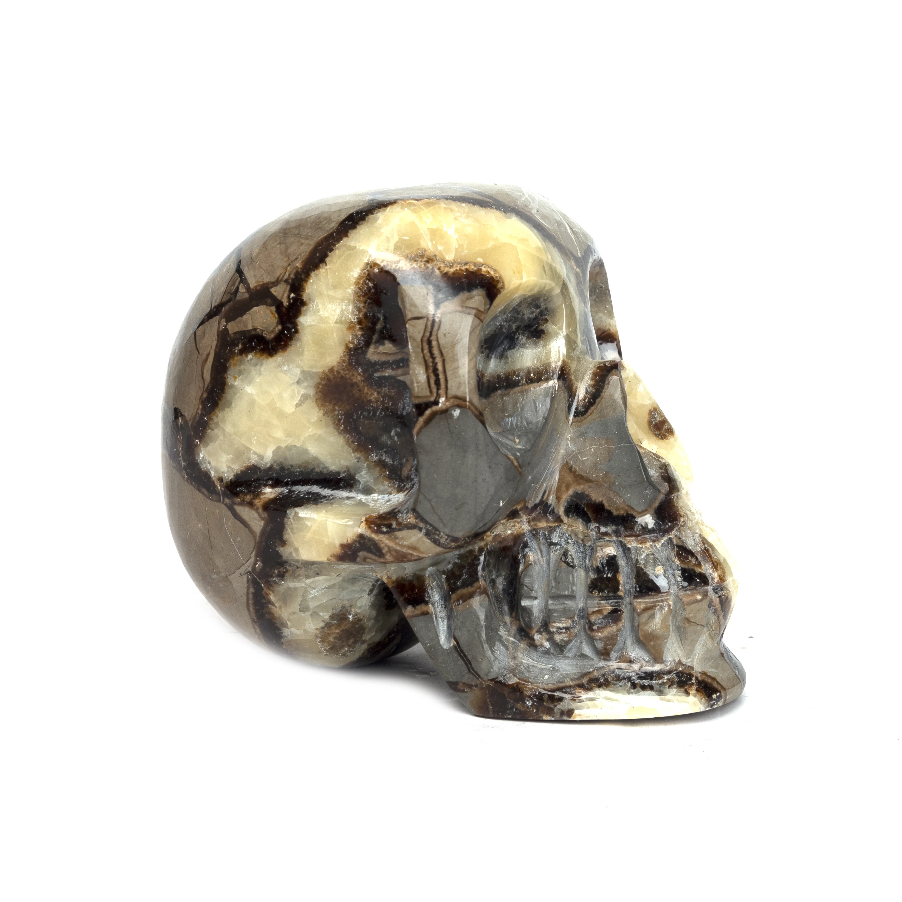 Natural Dragon Septarian Quartz Crystal  Head Hand Carved Healing for home Decoration Crystal Gift Reiki