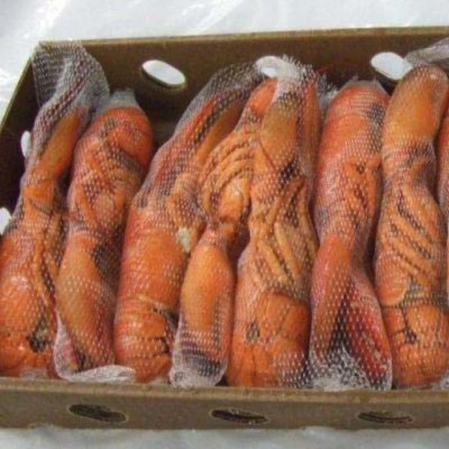  Замороженный Хвост лобстера/свежая живая холодная вода свежий живой Лобстер Раков готов для экспорта на продажу азот замороженный Омар